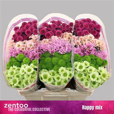 <h4>Chr S Happy Mix</h4>