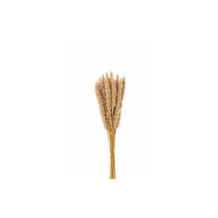<h4>Droogbl Bewerkt H%</h4>