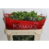 Hypericum Jungle Romance Spray