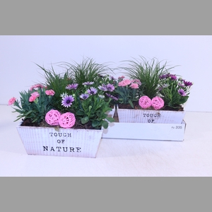 ARR TUINPLANTEN