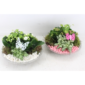 arr2 PL - Glas schaal 27cm - roze/wit