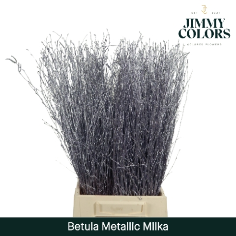<h4>Betula L60 Mtlc. Milka</h4>