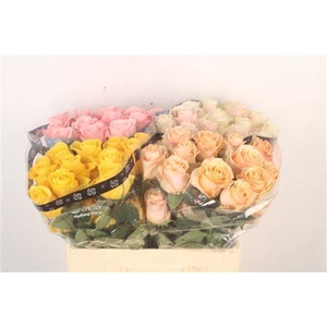 R Gr Ec Mixed In Bucket