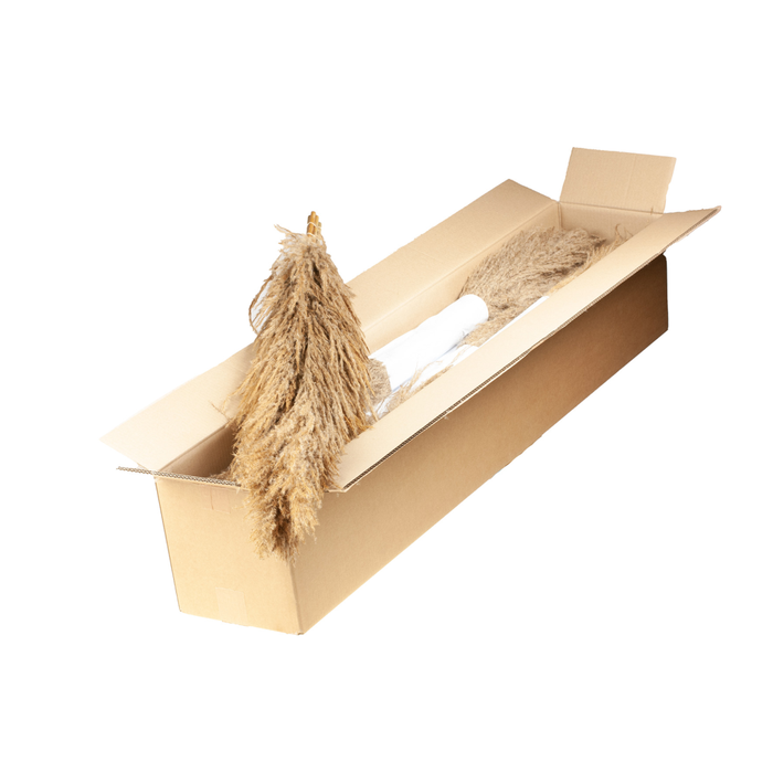 <h4>Pampasgras 115cm 5pc Bunch Sb Natural</h4>