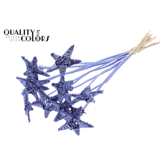 <h4>Lata Star on stem Metallic Purple</h4>