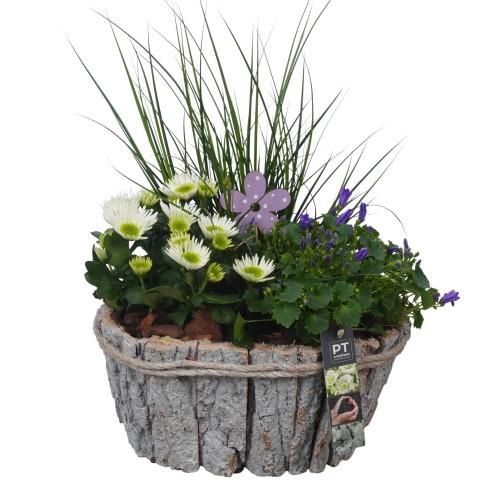 <h4>PTSO6030 Arrangement Summer Outdoor in houten bak</h4>