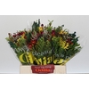 BQ Kaaps Groen Mandarin