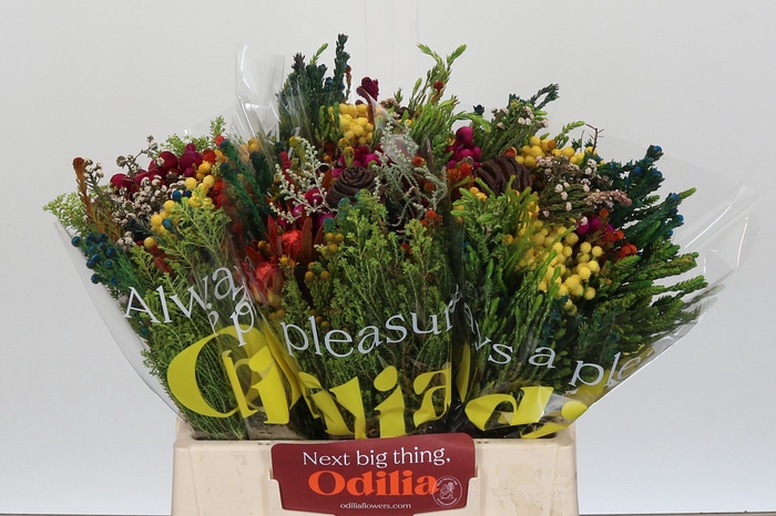 <h4>BQ Kaaps Groen Mandarin</h4>