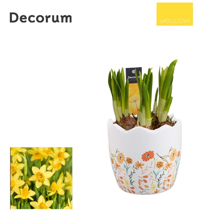 <h4>Narcis Flowery Egg HL14265 [YELLOW]</h4>