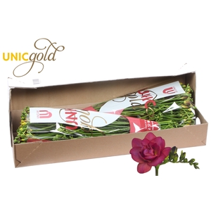 UG Barendse - Expression box