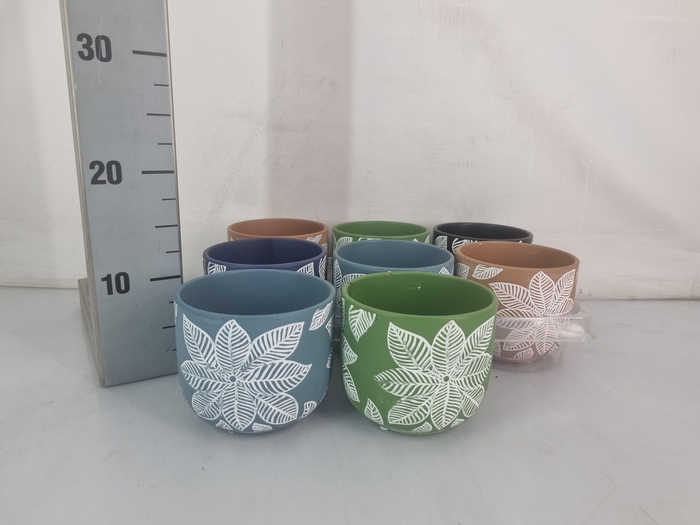 <h4>HUIS EN TUINDECO H%</h4>