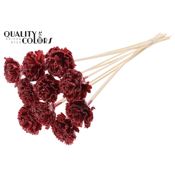 <h4>Shola Karnish Flower 6cm on stem Wax Burgundy</h4>