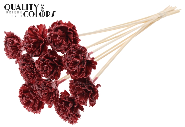 <h4>Shola Karnish Flower 6cm on stem Wax Burgundy</h4>