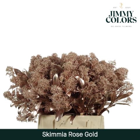 <h4>Skimmia Per Bos L45 Mtlc. Rose Goud + Glitter</h4>