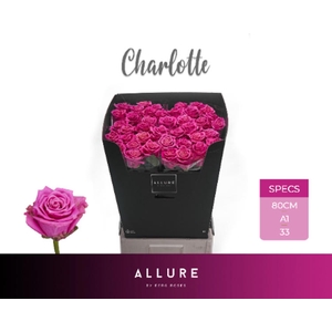 R Gr Charlotte Allure Berg