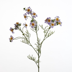 AF Matricaria Chamo L65cm li