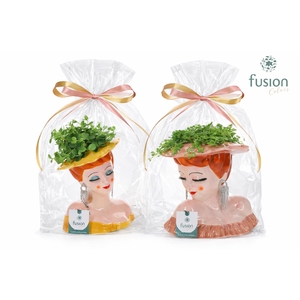 Keramiek Dames vase met Groenen planten mix