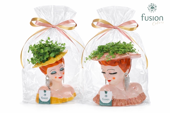 <h4>Keramiek Dames vase met Groenen planten mix</h4>