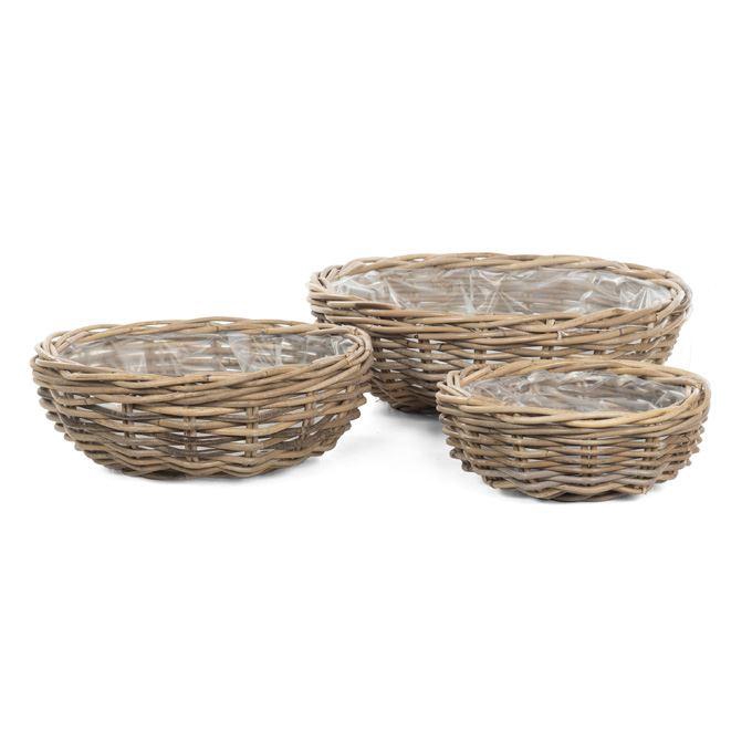 <h4>Mand   ...H%</h4>