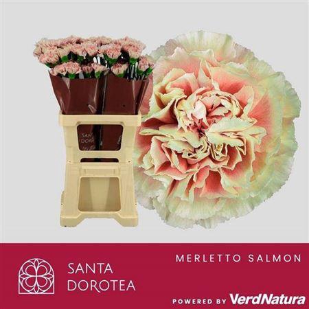 <h4>Di St Merletto Salmon</h4>