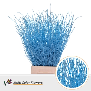 Berk Blauw Licht