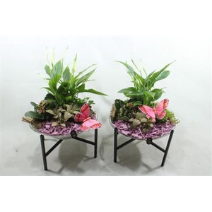 2669 PAARS GLAS OP POOTJE