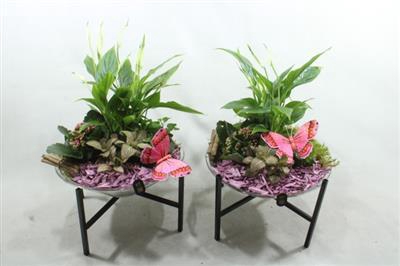 <h4>2669 PAARS GLAS OP POOTJE</h4>