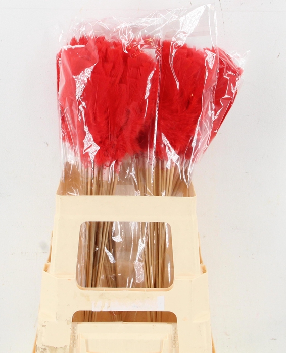 <h4>HUIS EN TUINDECO H%</h4>