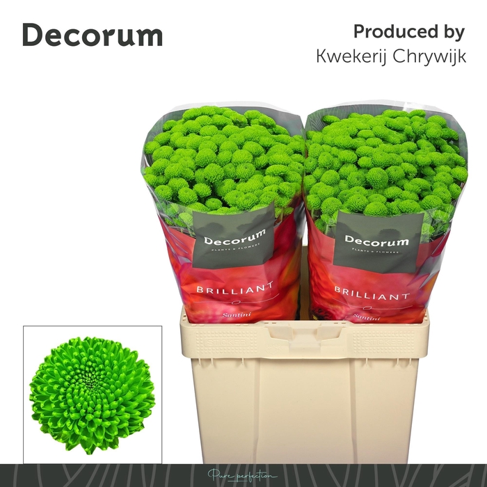 <h4>Chr S Aaa Peptalk</h4>