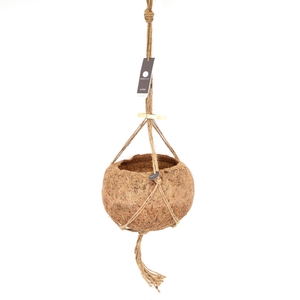 Kokodama Empty XXL 25 cm