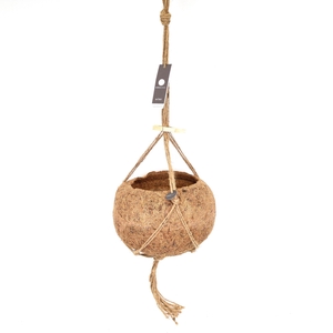 Kokodama Empty XXL 25 cm