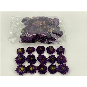 DRIED DAHLIA HEADS VIOLET BAG (50-6