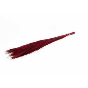 Df Broom Grass 75cm Bs Red