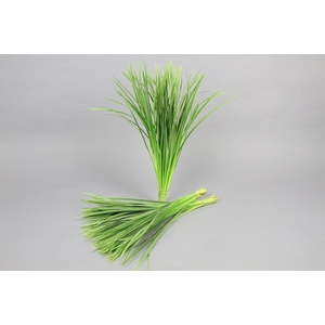 T-Grass (air) Variegated