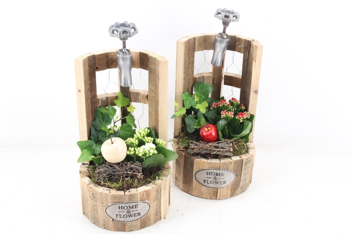 <h4>arr2 TD - Hout waterput - rood/wit</h4>