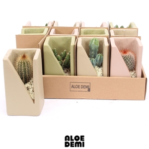 CACTUS GEM