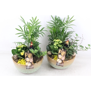 arr2 MB - Ker. schaal Sandy yellow