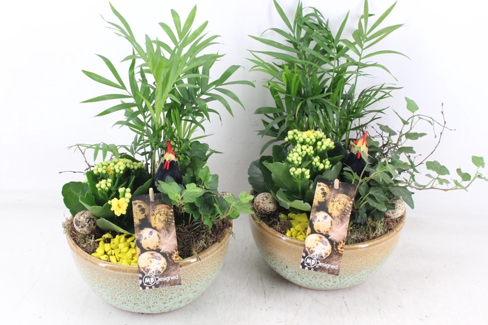 <h4>arr2 MB - Ker. schaal Sandy yellow</h4>