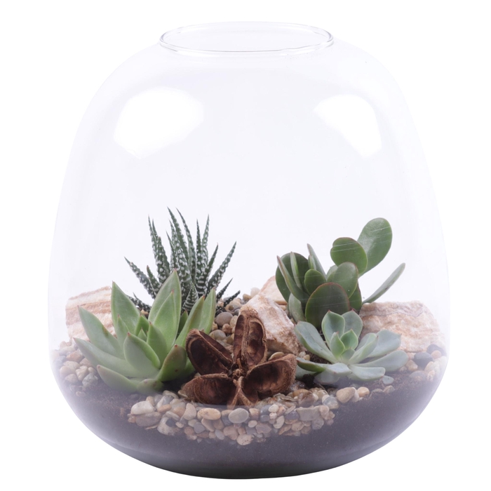 <h4>Yearround Arr. Succulent Glass Vase Terrarium Round Ø23cm 4PP</h4>