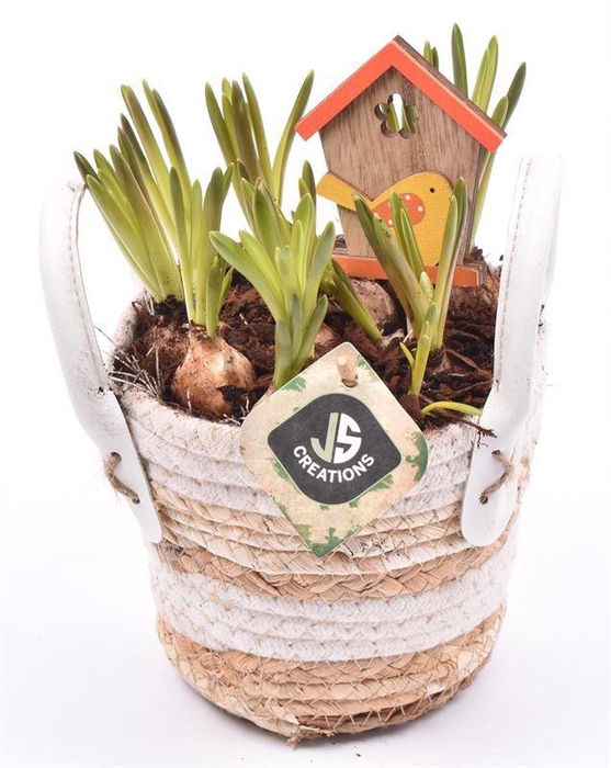 <h4>Maismand met oren Dia 13</h4>