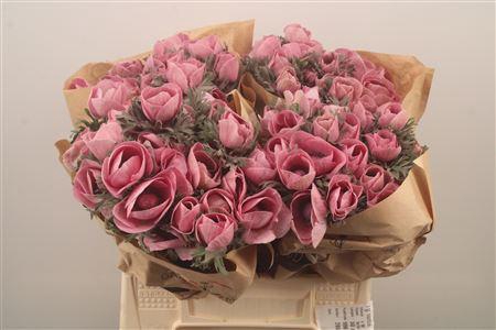 <h4>Anemone Powder Lie De Vin</h4>