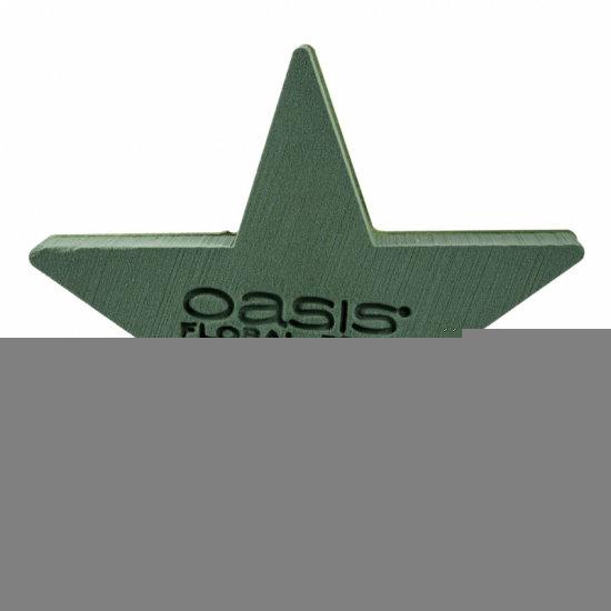 <h4>Oasis Star 30x30cm Bioline</h4>