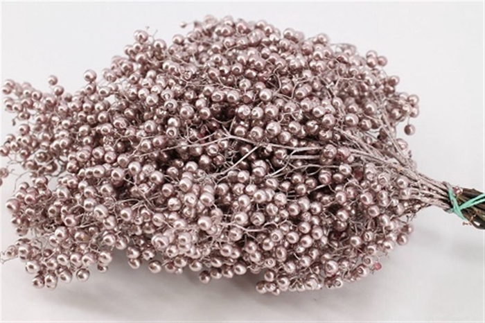 <h4>Schinus M Pt Champagne Bunch</h4>