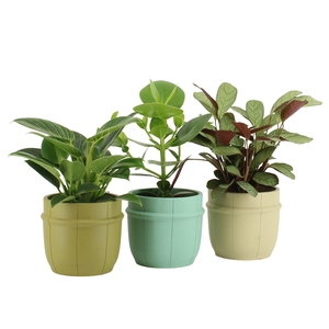 7501473: Solutionss Consideration