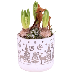 Opm Christmas Arr. Hyacint Ceramic Landscape White