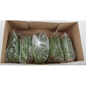 PINUS PINASTER NEEDLE 500GR