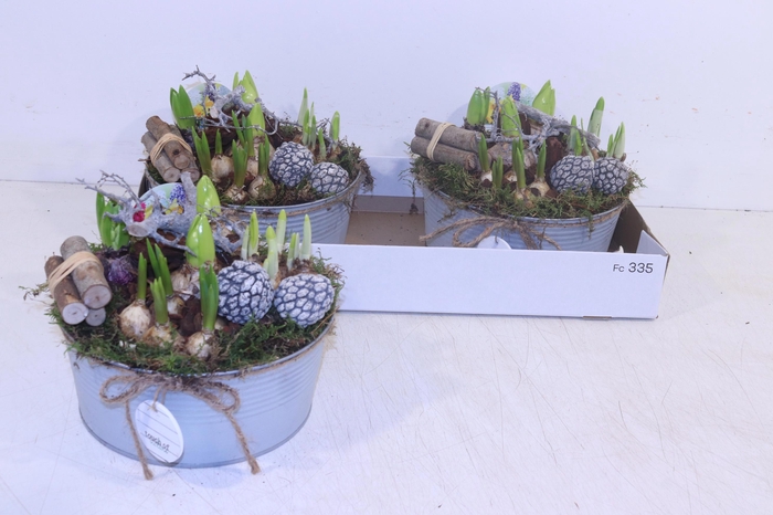 <h4>ARR BOL KNOLGEWAS</h4>