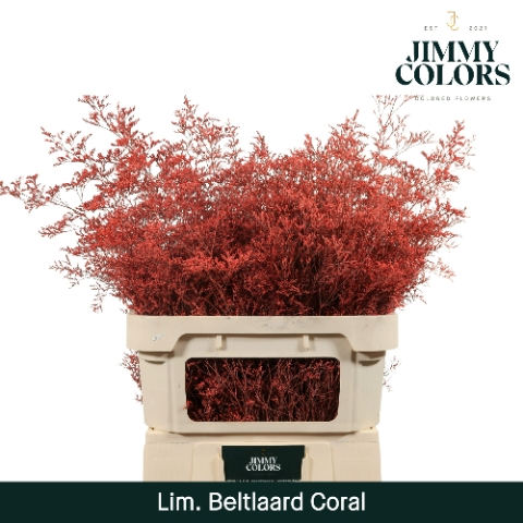 <h4>Lim Bel L90 Coral</h4>