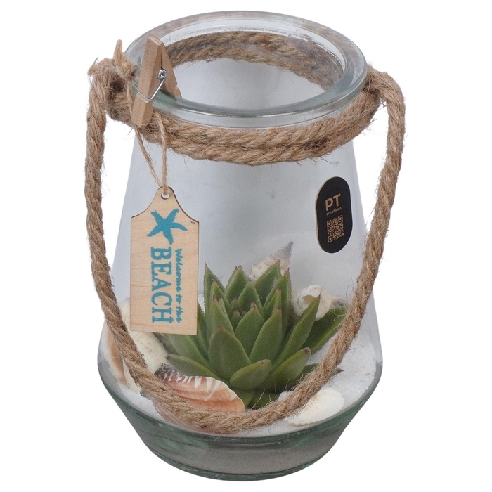 <h4>Arr. Planten L%</h4>