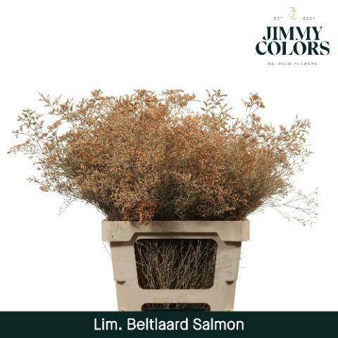 <h4>Lim Bel L70 Salmon</h4>